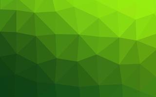 Light Green vector blurry triangle template.