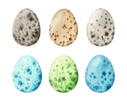 Watercolor set with natural and colored quail eggs isolated on white background. Easter design elements. Hand-drawn illustration. Perfect for your project, cards, print, menu, decorations. vector