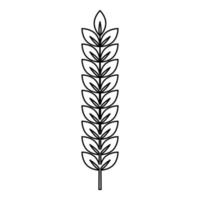 Spikelet of wheat Plant branch icon outline black color vector illustration flat style image