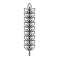 Spikelet of wheat Plant branch icon outline black color vector illustration flat style image