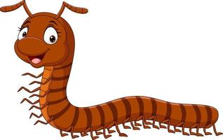Cartoon funny millipede on white background vector