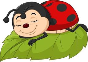 Cartoon ladybug sleeping on leaf vector