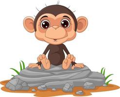 lindo bebé mono dibujos animados sentado en la roca vector