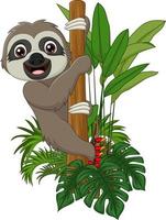 Cute baby sloth climbing on tree branch vector