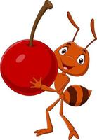 Cute ant cartoon carrying a cherry vector