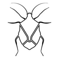 Bug Bedbug Chinch True bugs Hemipterans Insect vector