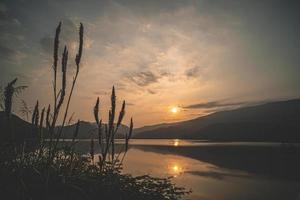 Wild-grass flower with scene of Lake Mountain Sunset.  Landscape at dusk .beautiful sky at sunset in autumn. Perfect mountains at sunrise and sunset time. Beautiful scenery photo