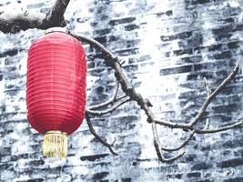linterna china colgando de los árboles. linternas chinas tradicionales. linternas de papel rojo, decoraciones de año nuevo chino foto