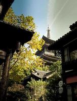Traditional temple Shrine architecture in Osaka with autumn leaves in Japan China Fall Leaves. photo