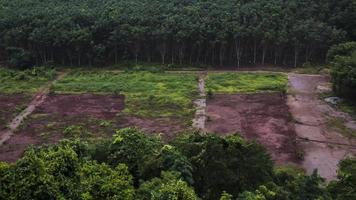 Deforestation Scarred earth where tropical rain forest has been destroyed by human development photo