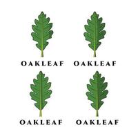 Oak leaf logo vector, illustration, design, set logo vector