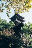 Traditional temple Shrine architecture in Osaka with autumn leaves in Japan China Fall Leaves. photo