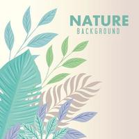 nature background, branches with tropical nature leaves of pastel color vector