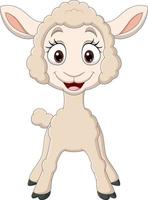 Cute baby lamb cartoon