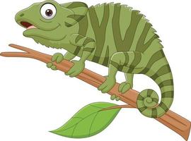 Cartoon green chameleon on tree branch vector