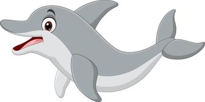 Cartoon funny dolphin on white background vector