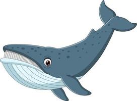 Cartoon whale isolated on white background vector