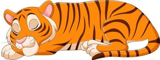 Cartoon funny tiger sleeping on white background vector