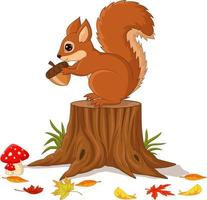 Cartoon funny squirrel holding pine cone on tree stump vector