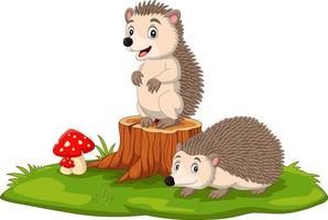Cartoon two baby hedgehog on tree stump vector