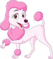 Cartoon happy pink poodle isolated on white background vector