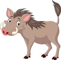 Cartoon warthog isolated on white background vector