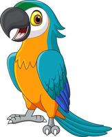 Parrot Vector Art, Icons, and Graphics for Free Download Parrot Vector Art, Icons, and Graphics for Free Download