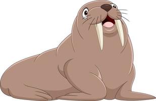 Cartoon walrus isolated on white background vector