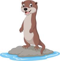 Cartoon otter standing on the rock vector