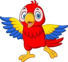 Cartoon funny baby macaw on white background vector