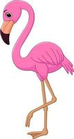 Cartoon flamingo on white background vector