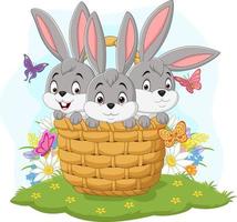 Three rabbits cartoon in the basket vector