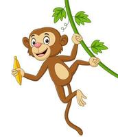mono de dibujos animados colgando y sosteniendo plátano en rama de árbol vector