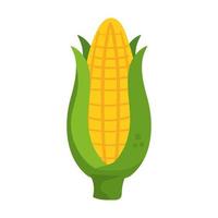 fresh delicious corn on white background vector