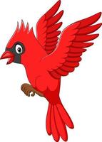 pájaro cardenal de dibujos animados volando sobre fondo blanco vector