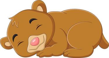 Cartoon funny baby bear sleeping vector