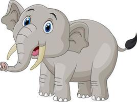 Cute cartoon elephant on white background vector