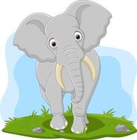 Cartoon happy elephant in the grass