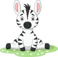 Cute baby zebra sitting in the grass vector