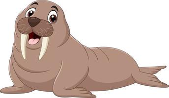 Cartoon walrus isolated on white background vector