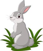 Cartoon funny rabbit in the grass vector