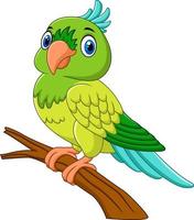 Cartoon parrot on tree branch vector