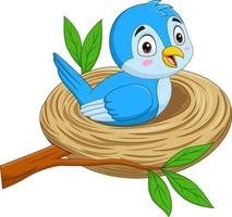 Cartoon blue bird sitting in a nest vector
