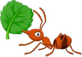 Cartoon ant with green leaf vector