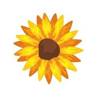 sunflower plant icon on white background vector