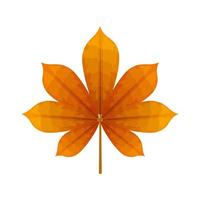 autumn leaf or fall foliage on white background vector