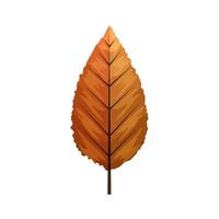 autumn leaf or fall foliage on white background vector