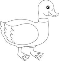 Duck Coloring Page Isolated for Kids vector