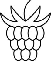 Raspberry Outline Icon Fruit Vector