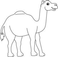 Dromedary Coloring Page Isolated for Kids vector